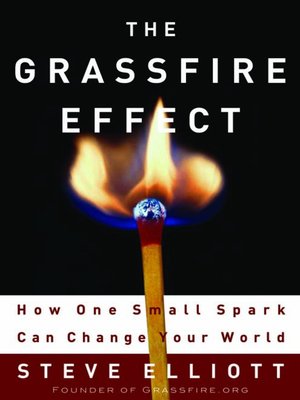 cover image of The Grassfire Effect